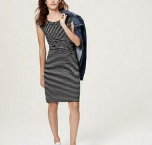 Ann Taylor LOFT dress